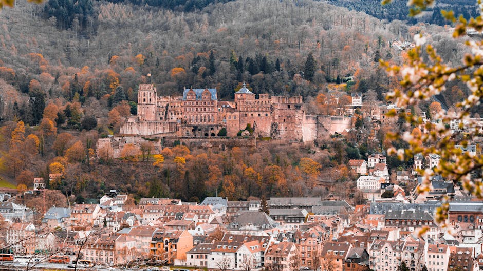 Stunning aerial shot of Heidelberg Castle surrounded by autumn foliage in Heidelberg, Germany.